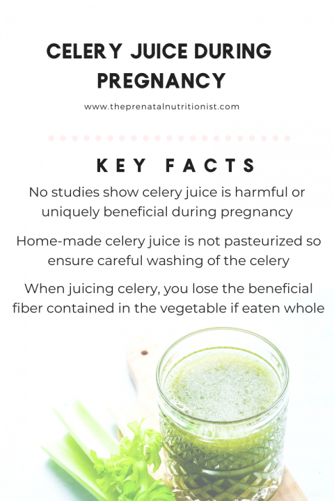 Celery Juice during Pregnancy: Is it safe? | The Prenatal Nutritionist