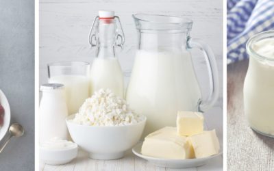 Dairy Products For Pregnancy