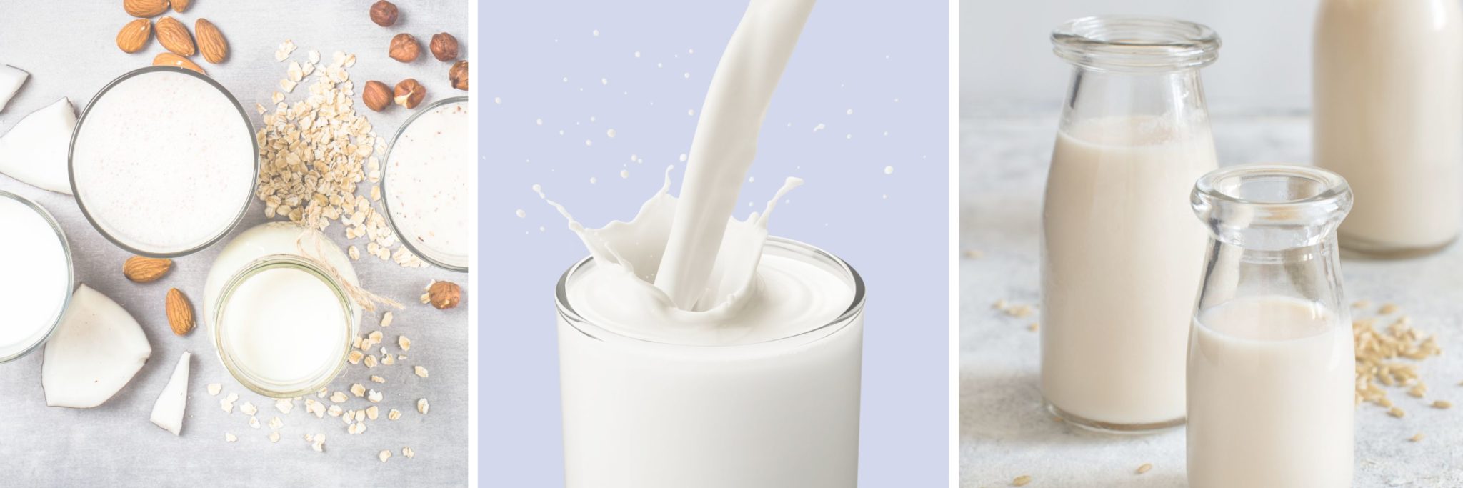 what-you-need-to-know-about-milk-its-options-in-pregnancy