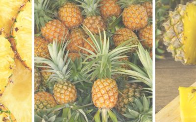 Can You Eat Pineapple While Pregnant