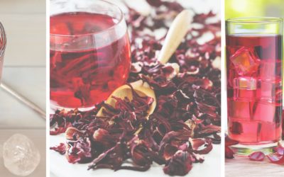 Is Hibiscus Tea Safe During Pregnancy