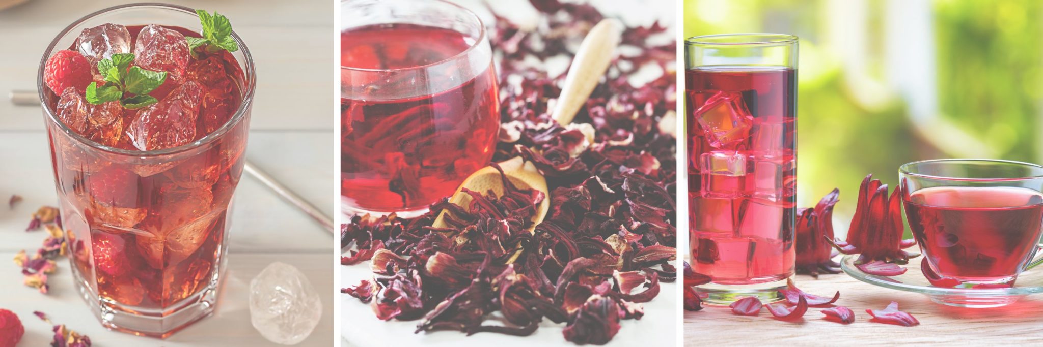 Is Hibiscus Tea Safe During Pregnancy