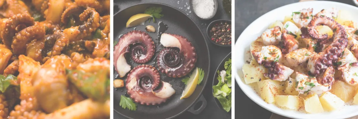 octopus dishes Can Pregnant Women Eat Octopus?