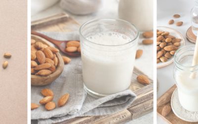 Can You Drink Almond Milk While Pregnant